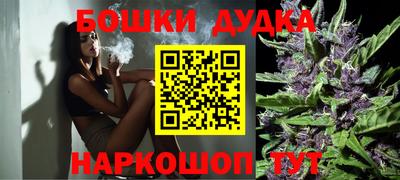 apvp Усть-Илимск