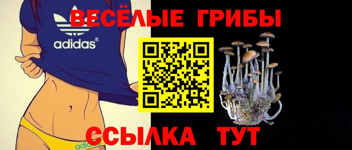 Галлюциногенные грибы прущие грибы  Вход с VPN  Борисоглебск  Галлюциногенные грибы ЛСД 
